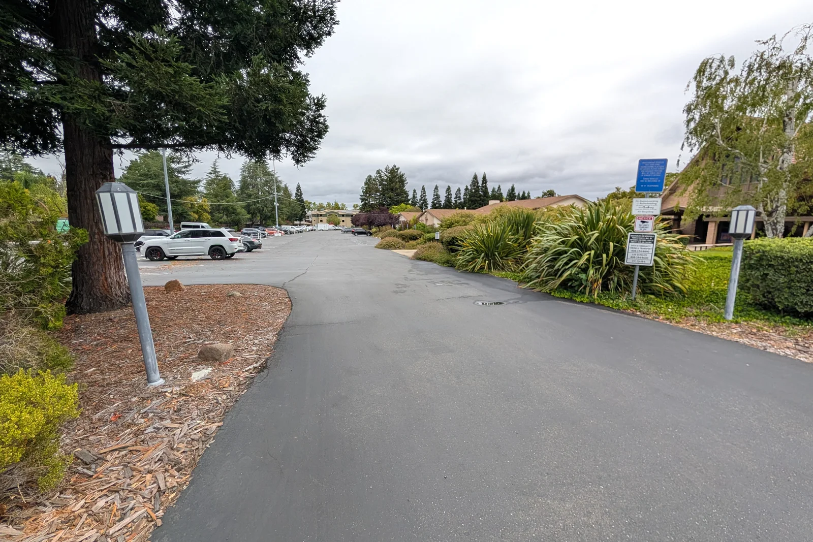 The main PCLG parking lane, with spaces on the left and the church campus on the right