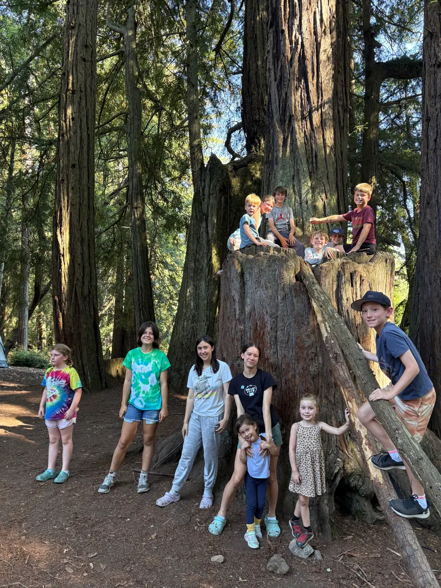 PCLG youth gathered beneath a giant redwood.