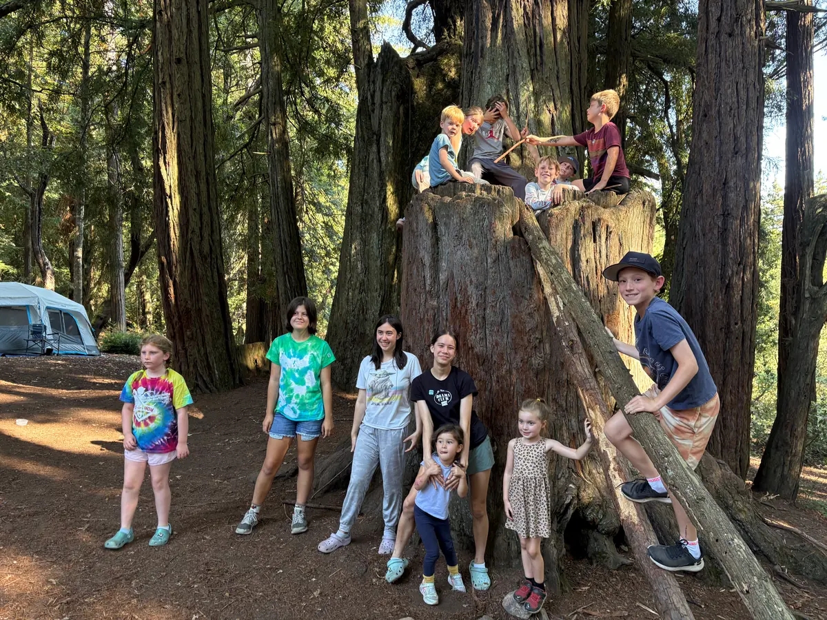 PCLG youth gathered around the base of a giant redwood.